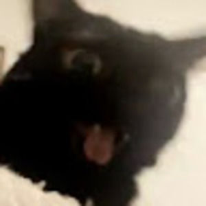 Meet your Posher, Kayli